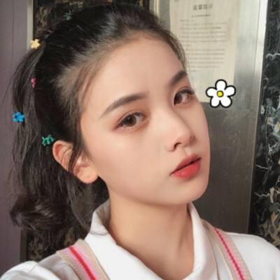 246天天好彩下载手机版